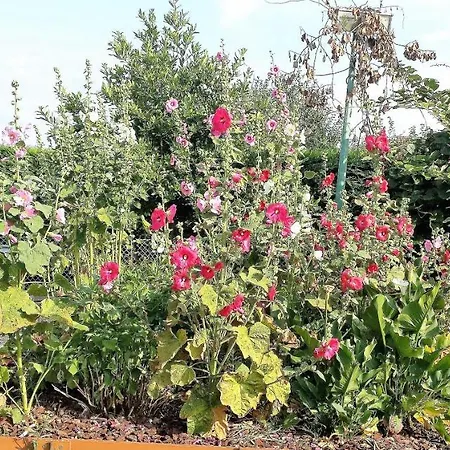 3 Privees Dans Un Jardin D'hiver, Garage Voiture, Velos, Motos