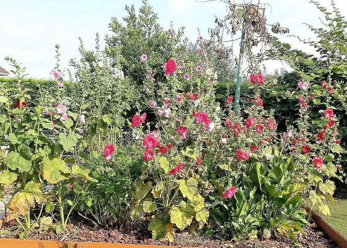 3 Privees Dans Un Jardin D'hiver, Garage Voiture, Velos, Motos